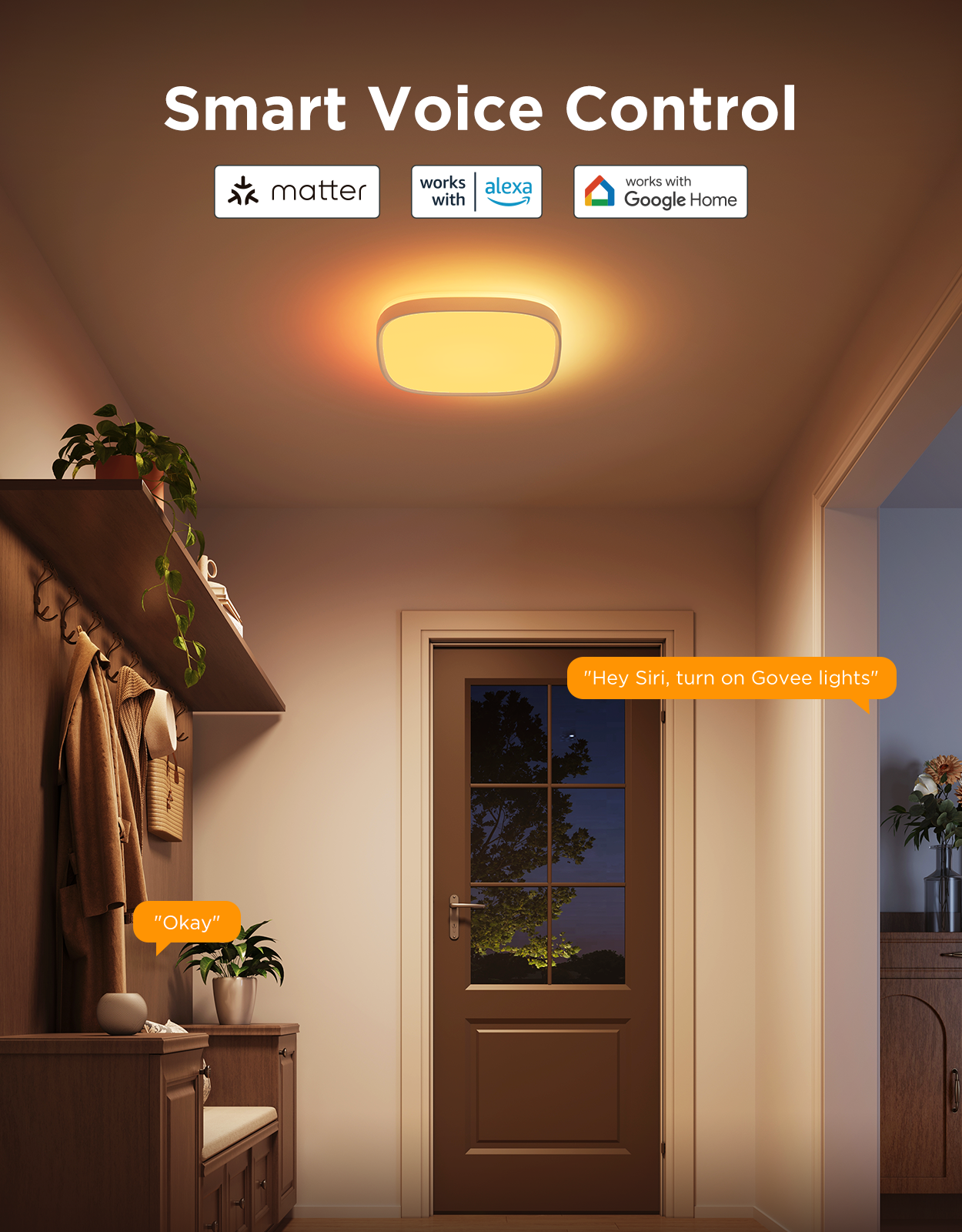 govee-plafonnier-smart-carr-30-cm-reconditionn-rgbww-rgbic-16-m-couleurs-contr-l image 6