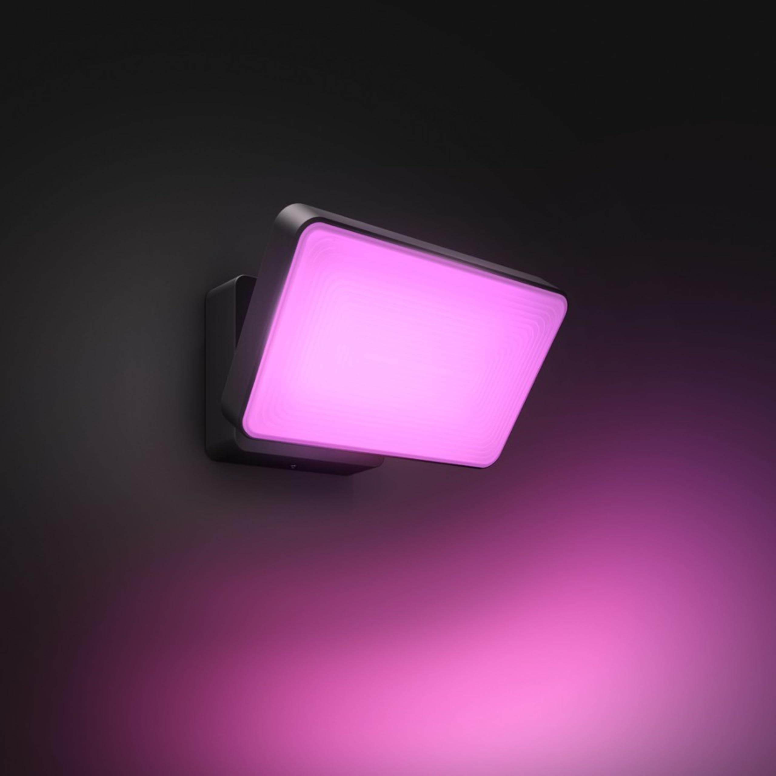 philips-hue-discover-lot-de-2-projecteurs-ext-rieurs-noirs-white-color-ambiance- image 2