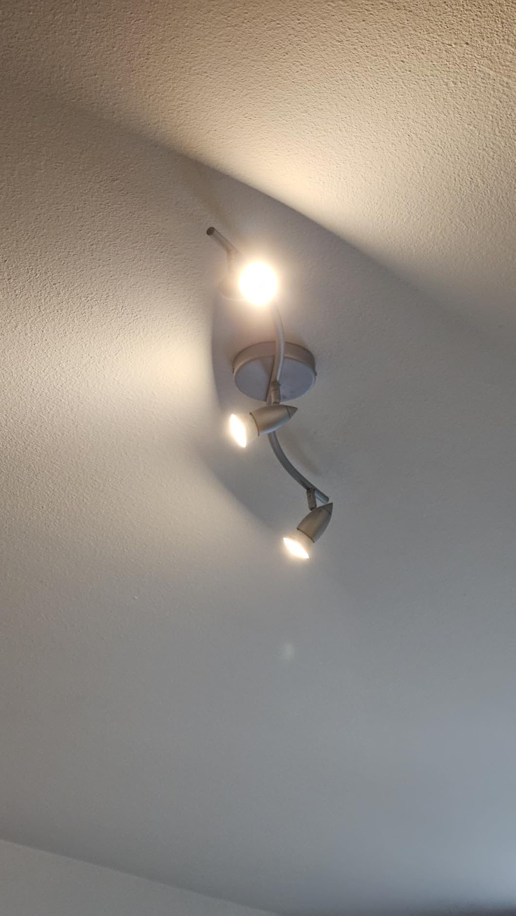 Bonne lumière, luminosité moyenne
