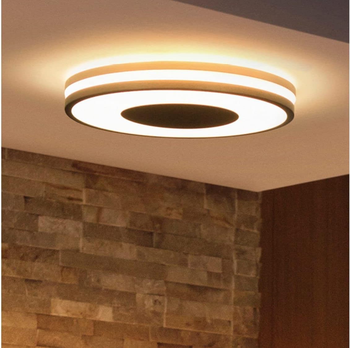 philips-hue-white-ambiance-being-plafonnier-connect-32-w-noir-t-l-commande-inclu image 3