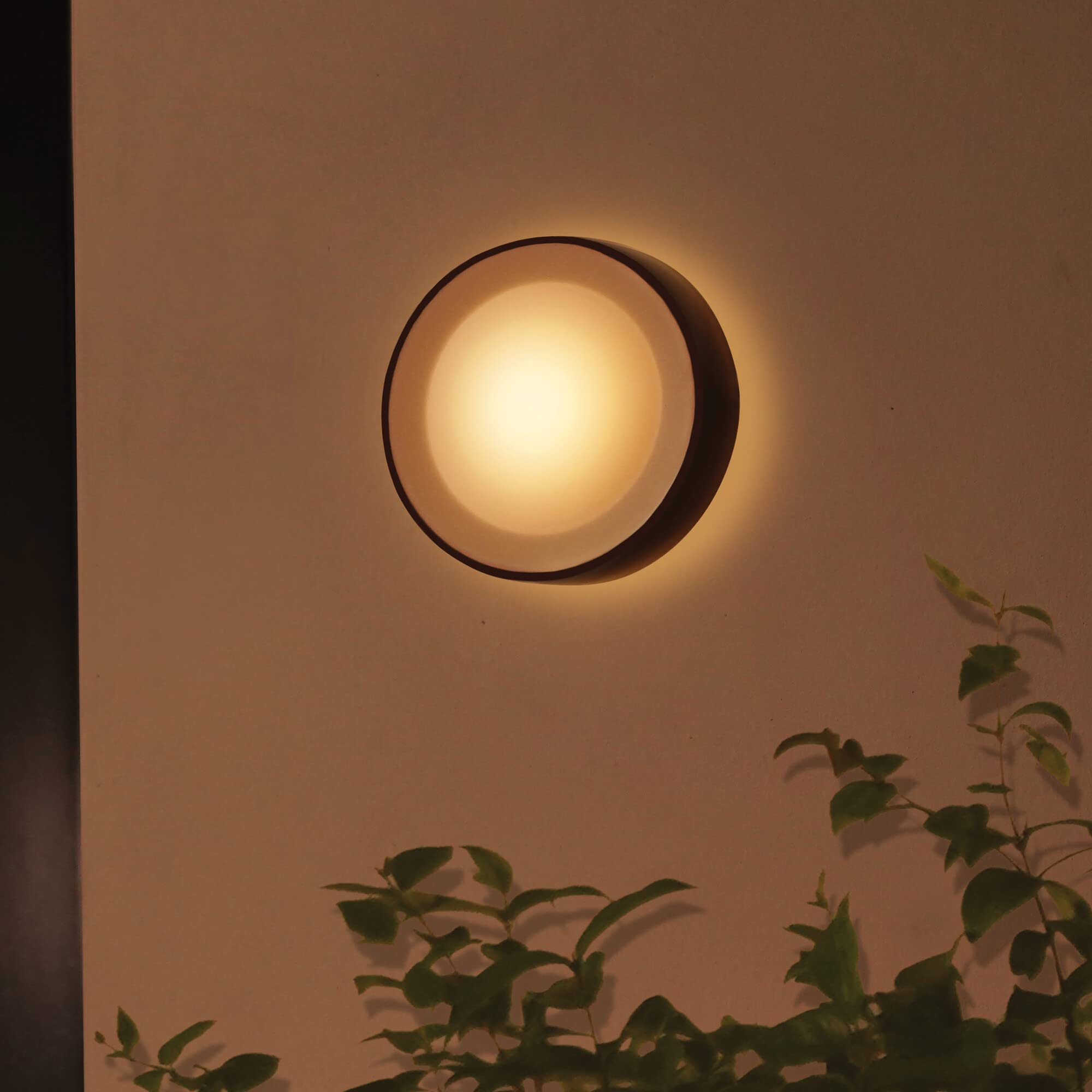 philips-hue-white-and-color-ambiance-daylo-applique-murale-ext-rieure-led-intell image 6