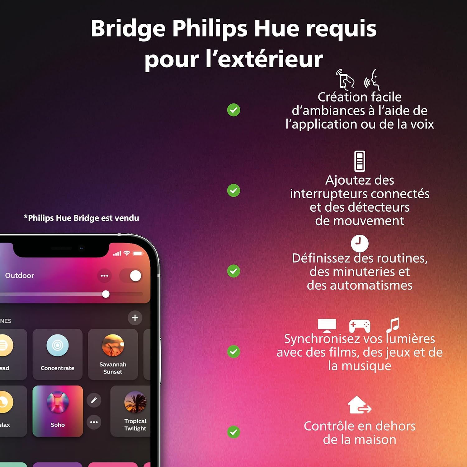 philips-hue-white-and-color-ambiance-lily-spot-ext-rieur-led-sur-piquet-de-jardi image 4