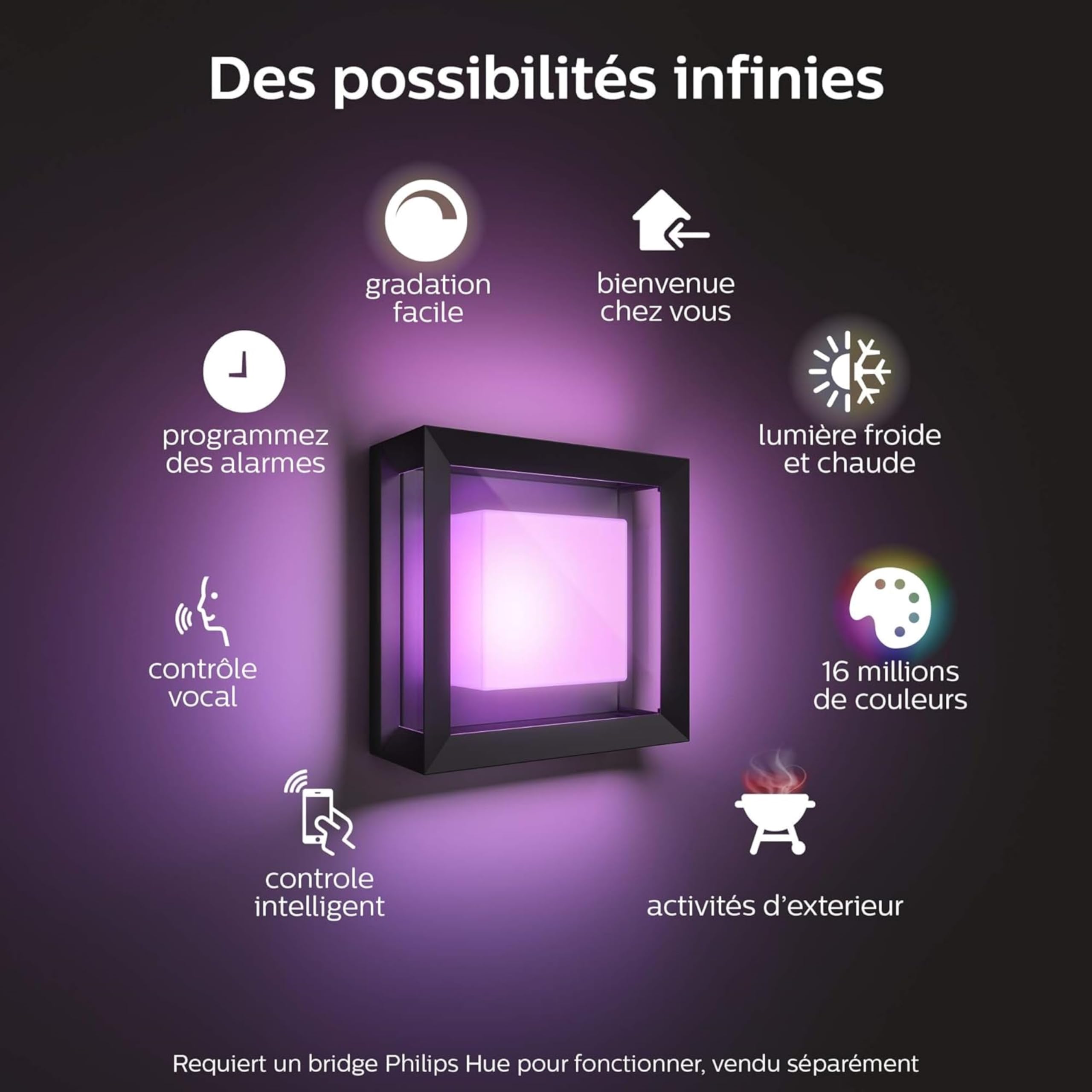 philips-hue-econic-applique-murale-ext-rieure-connect-e-white-color-aluminium-no image 2