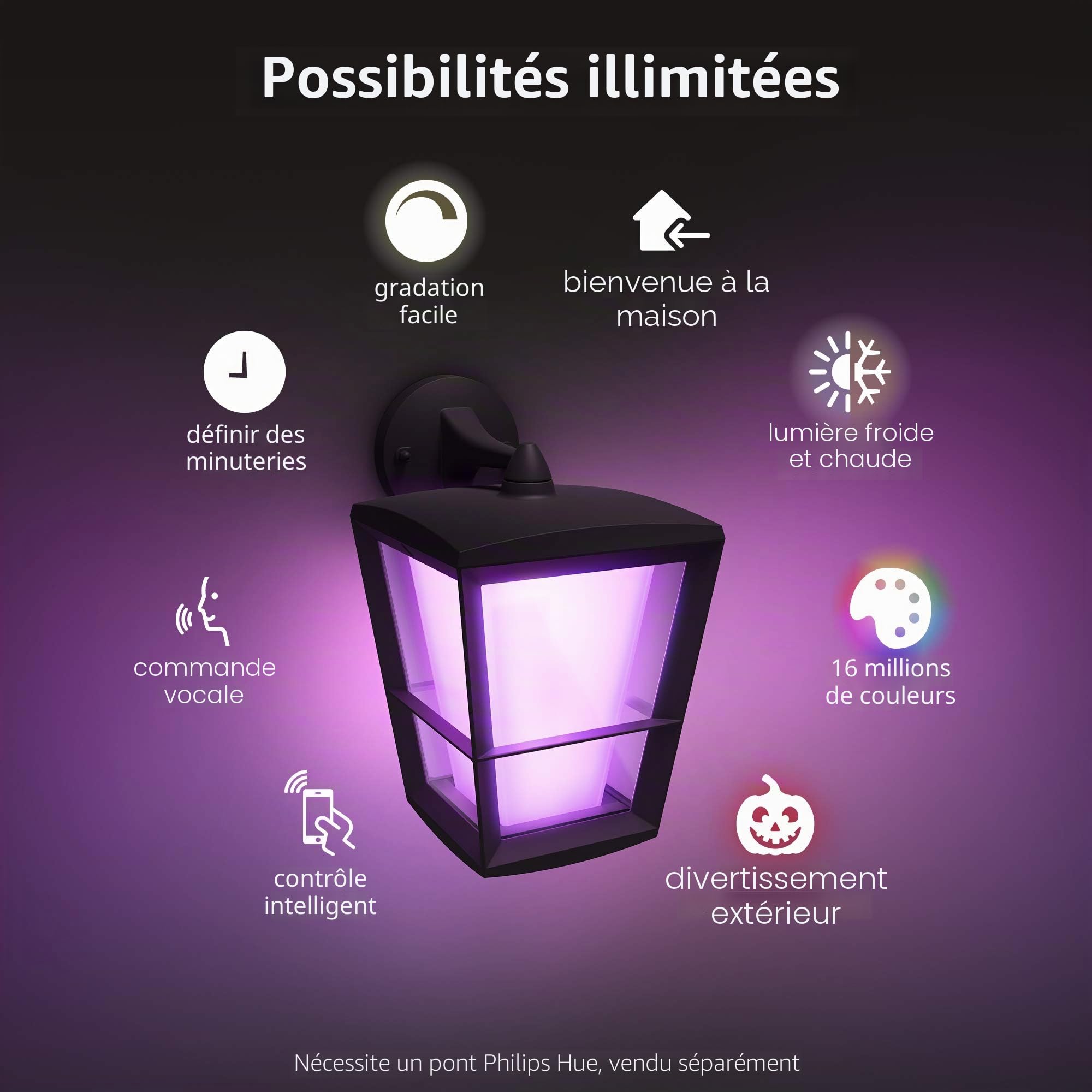 philips-hue-econic-applique-murale-d-ext-rieur-basse-noire-lanterne-connect-e-wh image 6