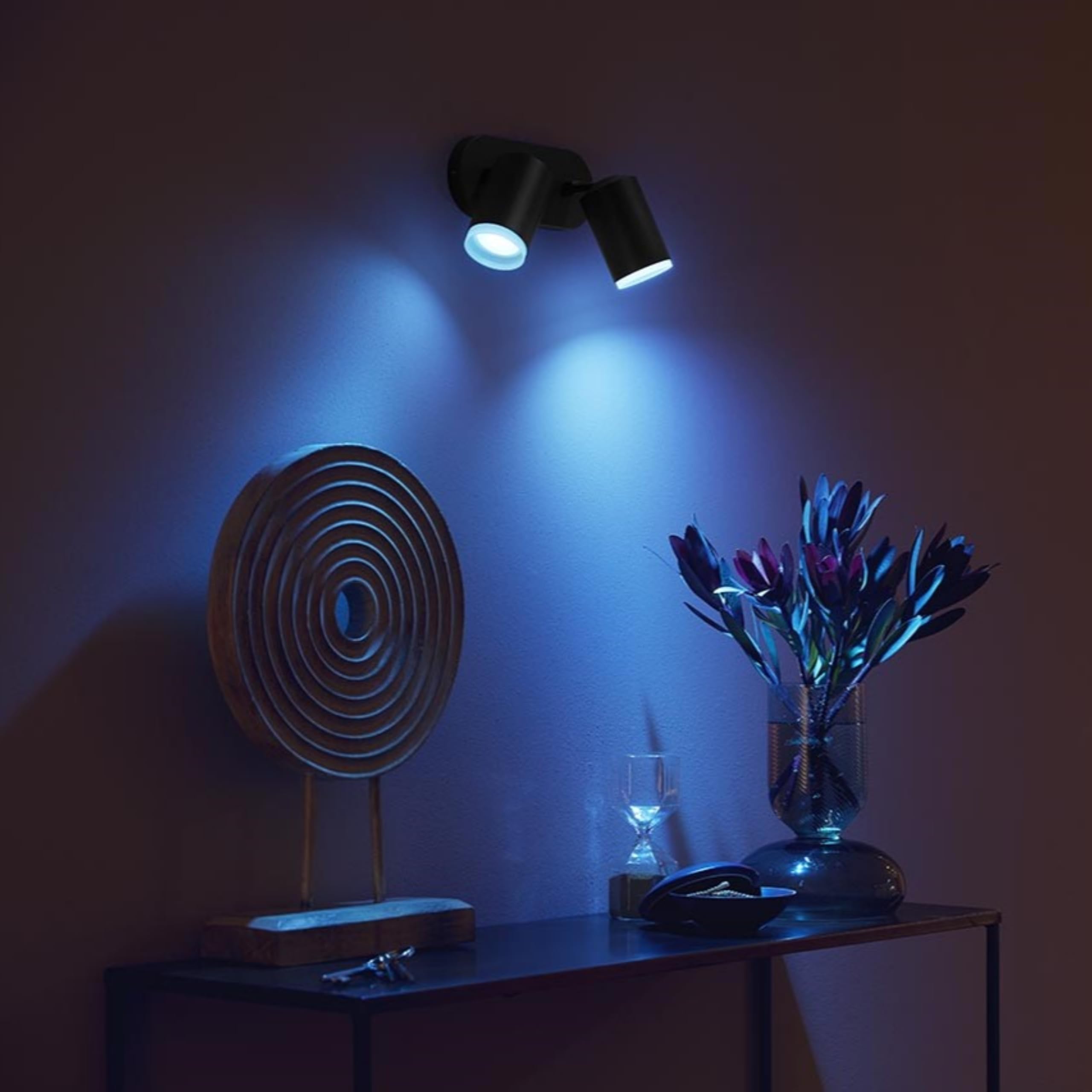 philips-hue-fugato-spot-double-plafonnier-white-color-ambiance-noir-2x350-lm-dim image 4