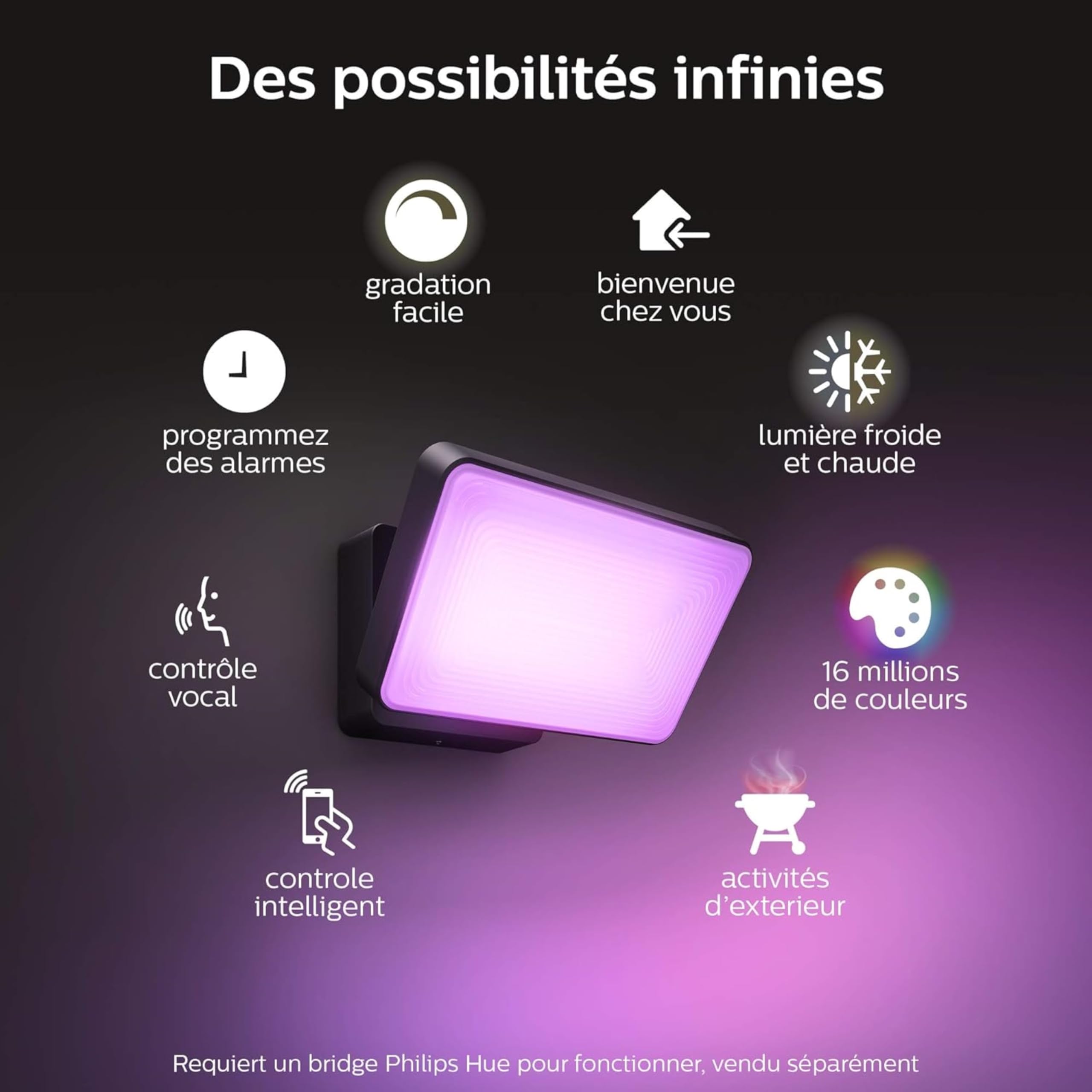 philips-hue-white-color-ambiance-discover-projecteur-ext-rieur-connect-aluminium image 4