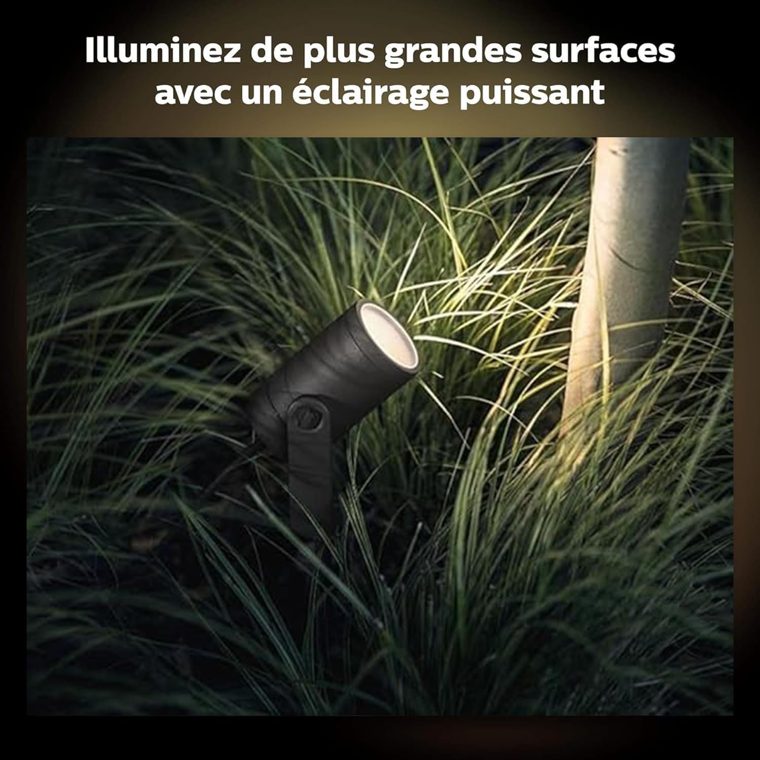 philips-hue-white-and-color-ambiance-lily-spot-ext-rieur-led-sur-piquet-de-jardi image 3
