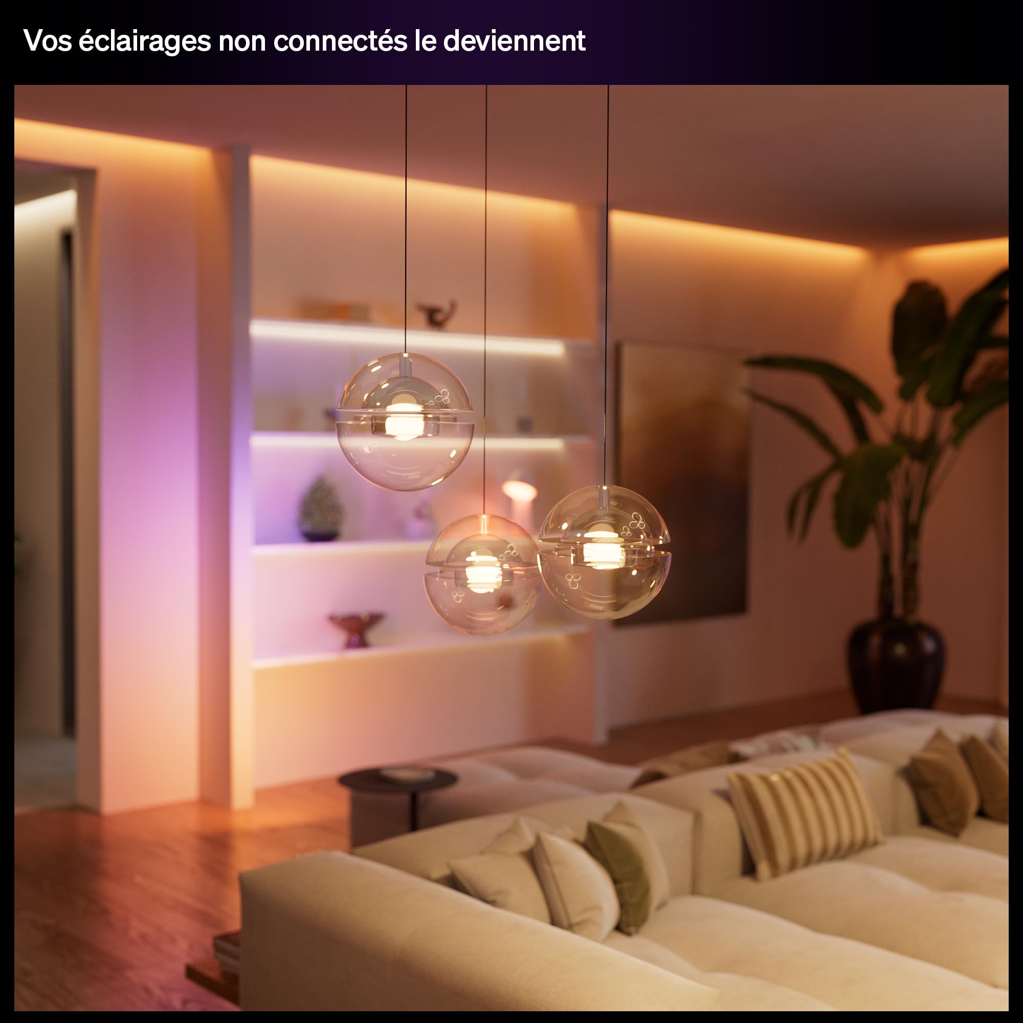 philips-hue-commutateur-filaire-2-canaux-interrupteur-on-off-connect-pour-lampes image 3