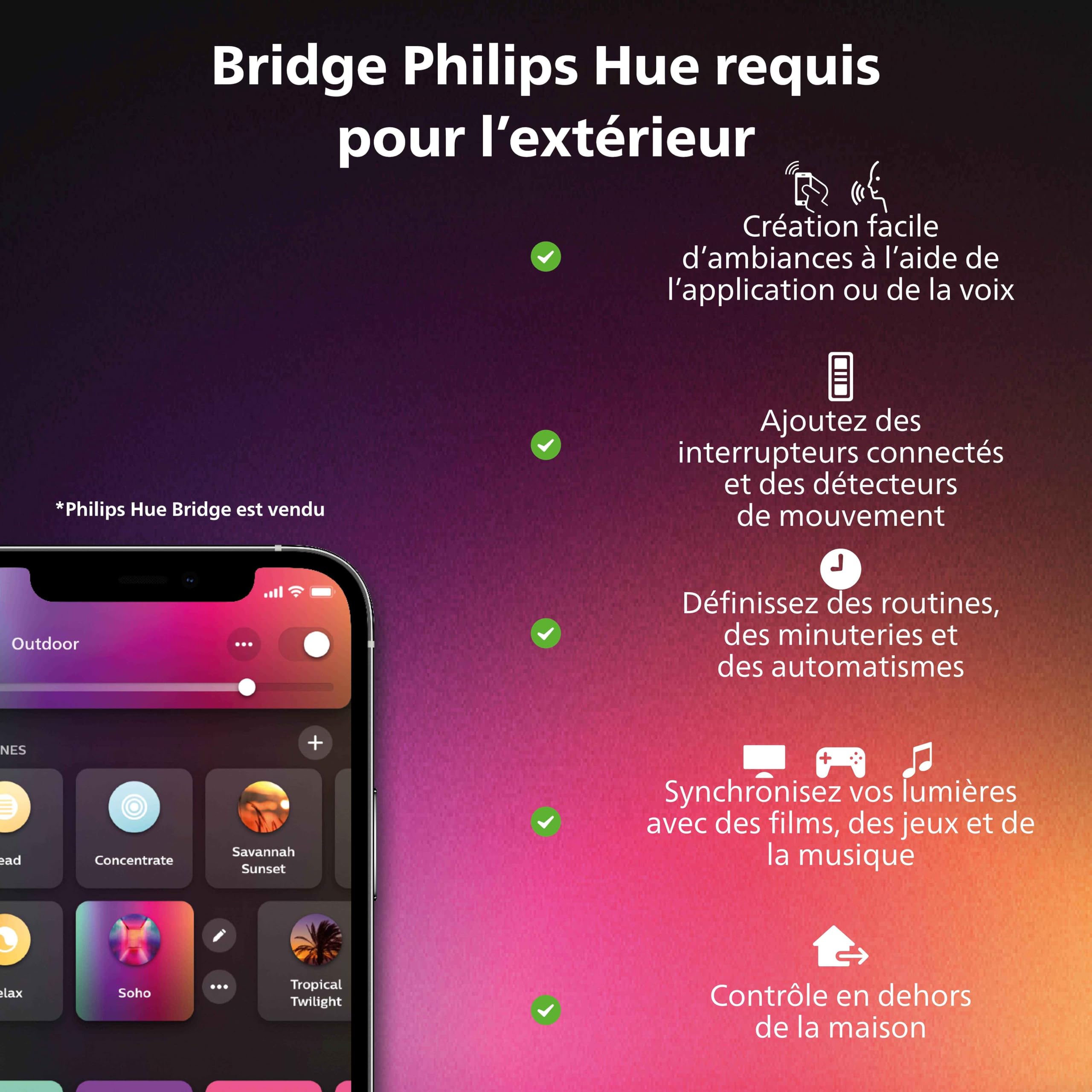philips-hue-white-color-ambiance-discover-projecteur-ext-rieur-connect-aluminium image 6