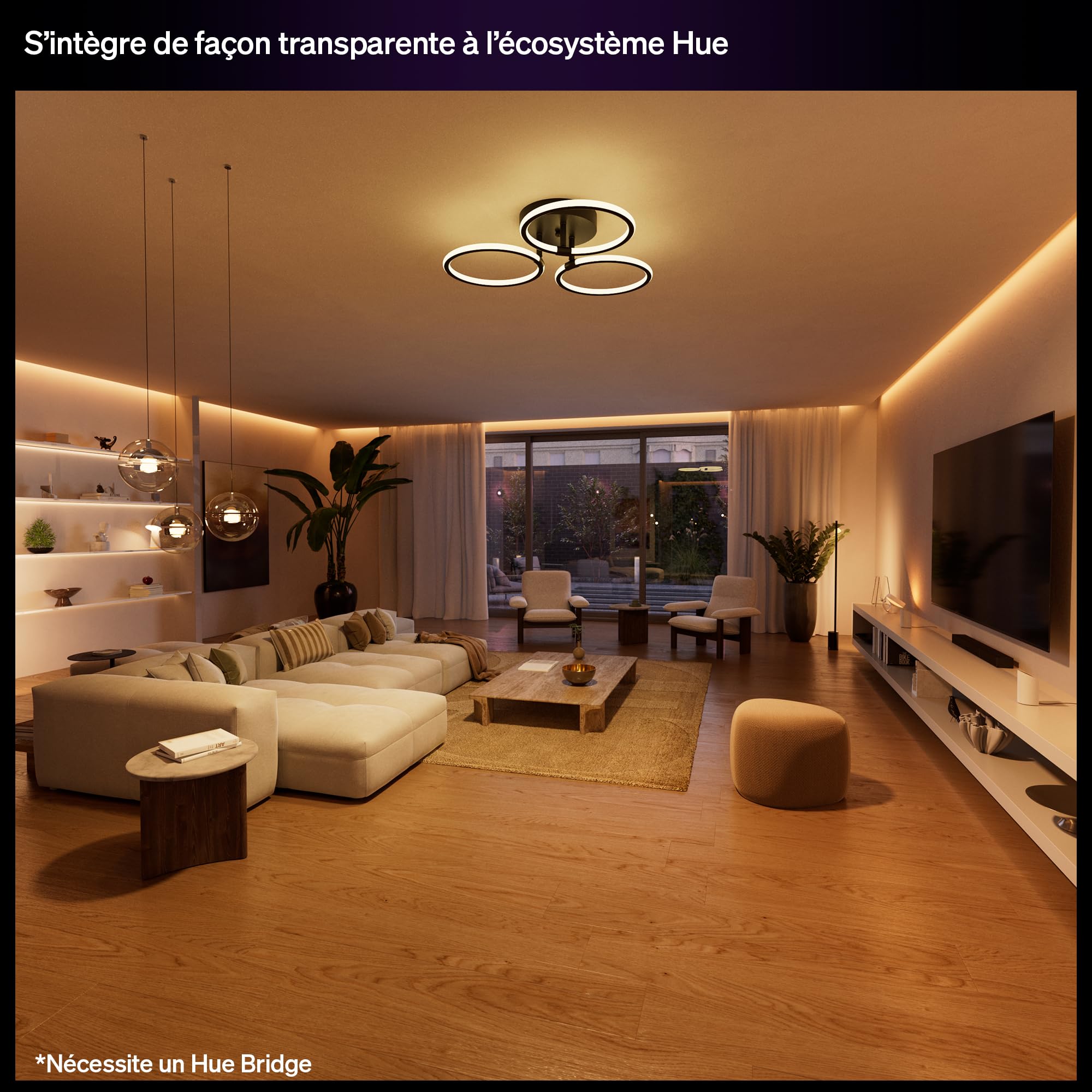 philips-hue-commutateur-filaire-1-canal-interrupteur-on-off-connect-pour-lampes- image 8