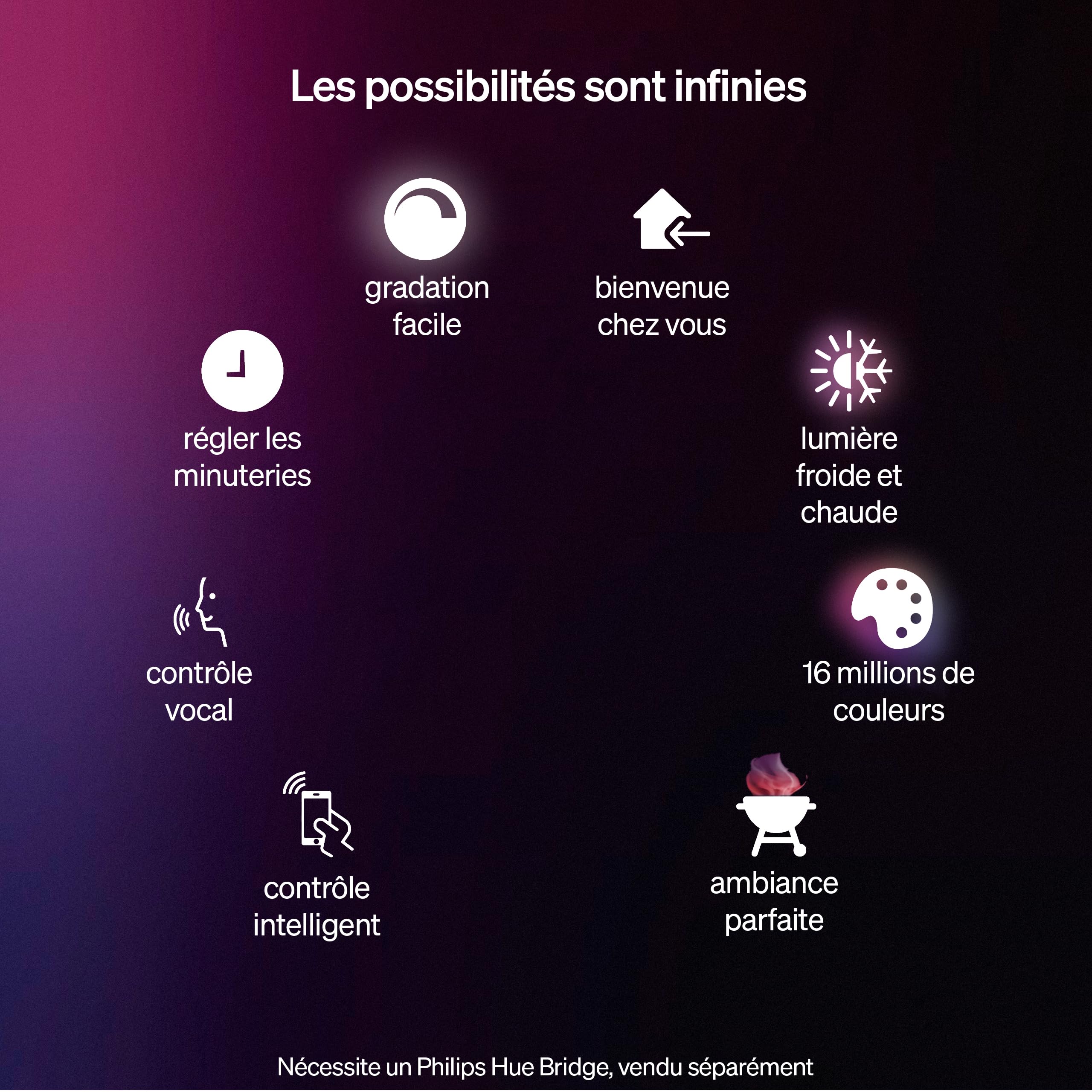 philips-hue-lucca-lampadaire-ext-rieur-white-color-ambiance-1100-lm-ip44-ampoule image 2