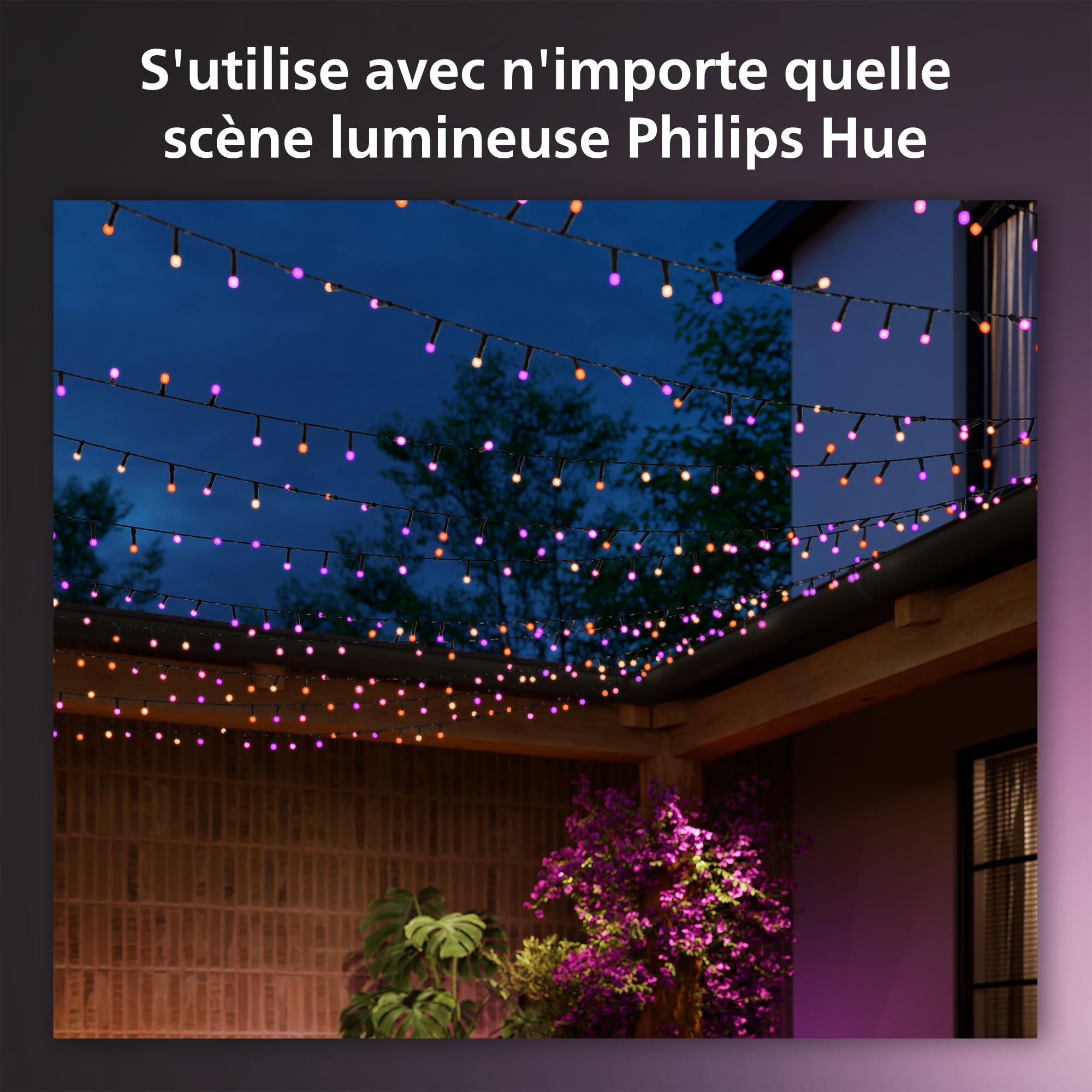 philips-hue-festavia-white-and-color-ambiance-guirlande-lumineuse-connect-e-500- image 3