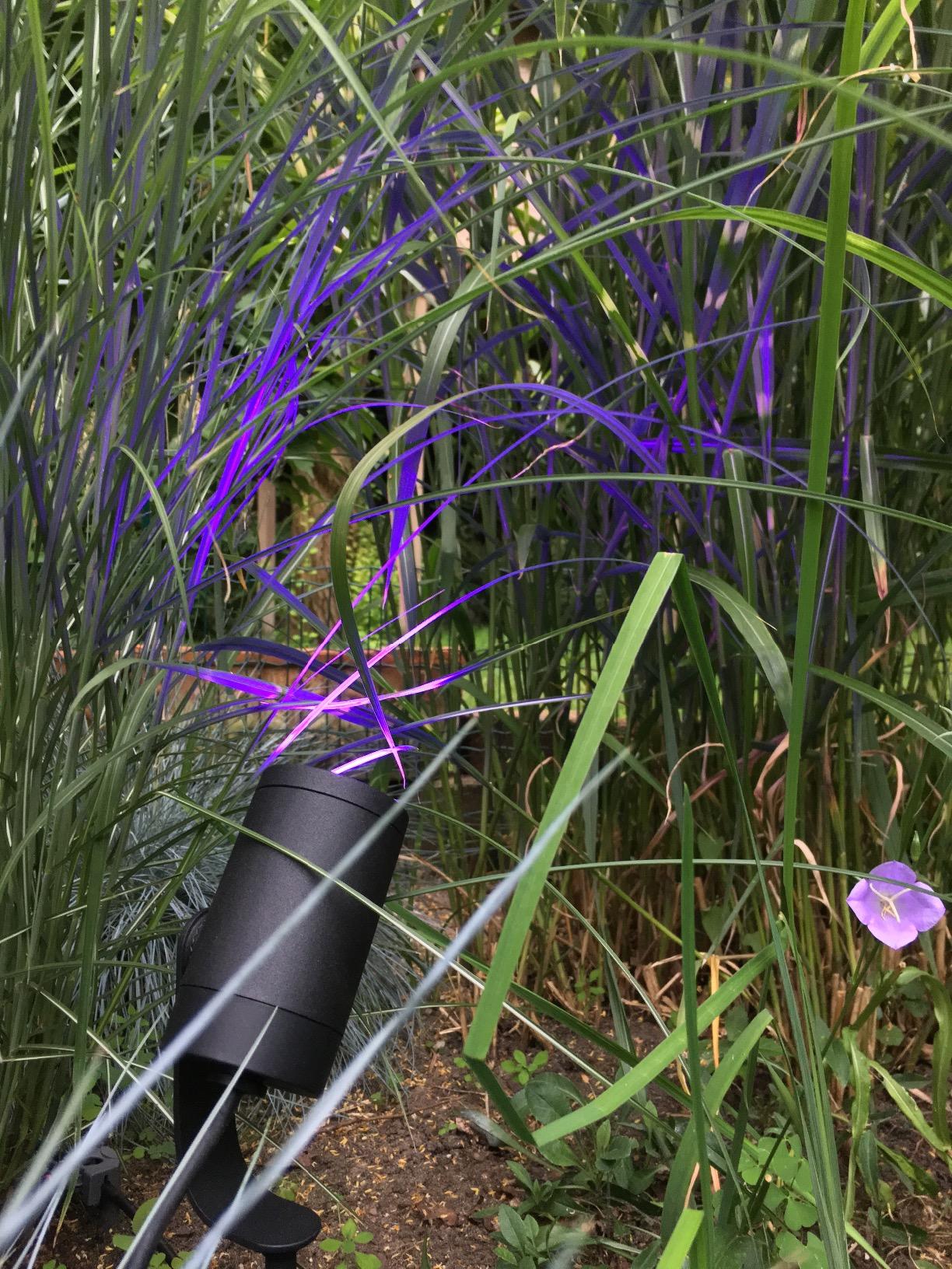Le jardin devient une pièce à vivre