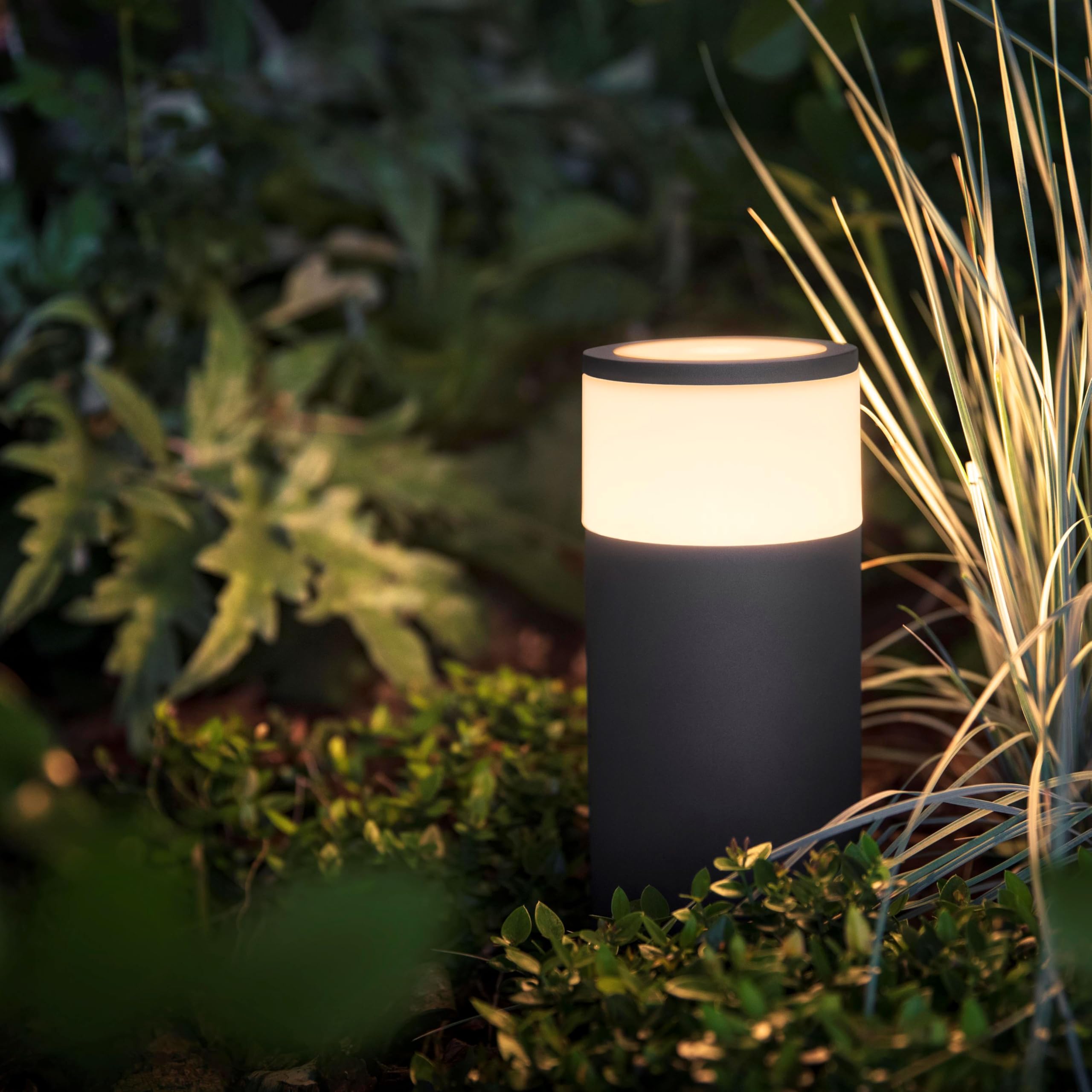 philips-hue-white-color-ambiance-calla-borne-d-ext-rieur-connect-e-8-w-extension image 3